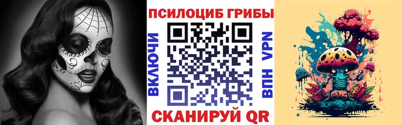 Галлюциногенные грибы Cubensis Купить где Сергач